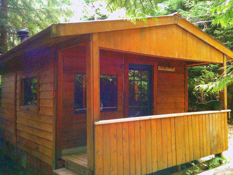 The Edenvale River Cabin — a small wooden cabin with a covered porch in a sunlit forest hollow