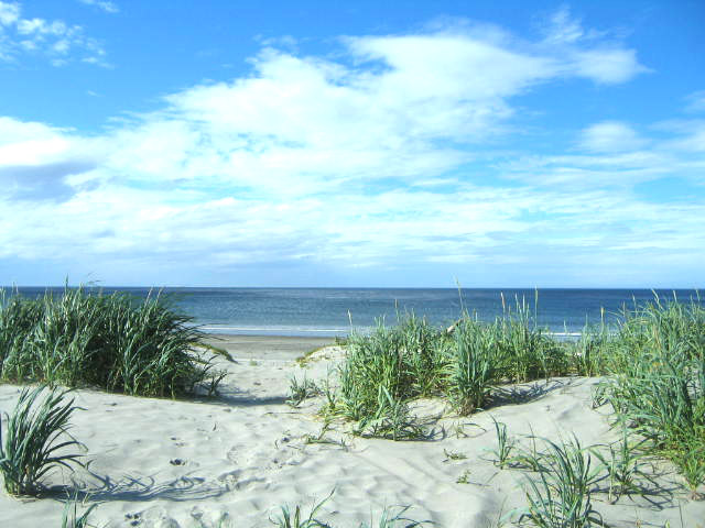 Dune grass and white sand opening onto the blue sweep of North Beach